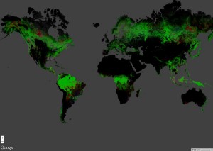 (nearly) Global map of forest change based on Landsat imagery (Hansen et al., 2013). Data processed using Google Earth Engne