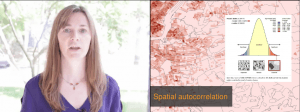 spatial autocorrelation