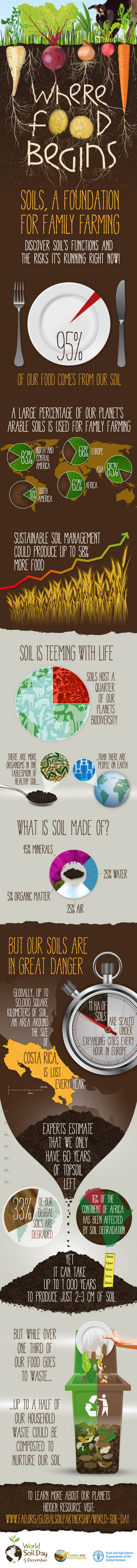 Infograph Soils